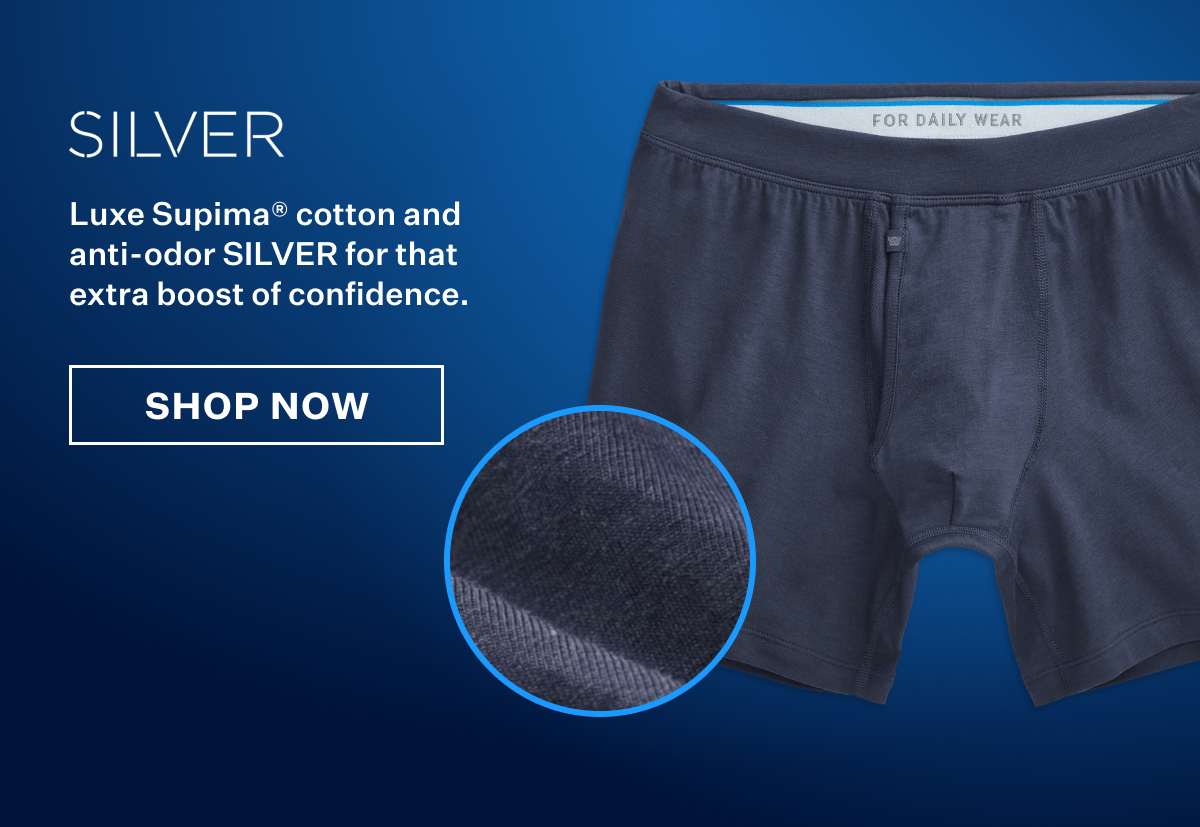 SILVER Boxer Brief