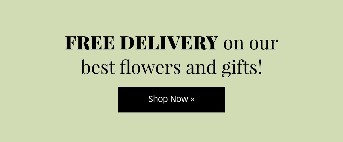 Free Delivery Sitewide! Shop Now »