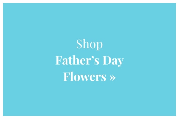 Shop Flowers »