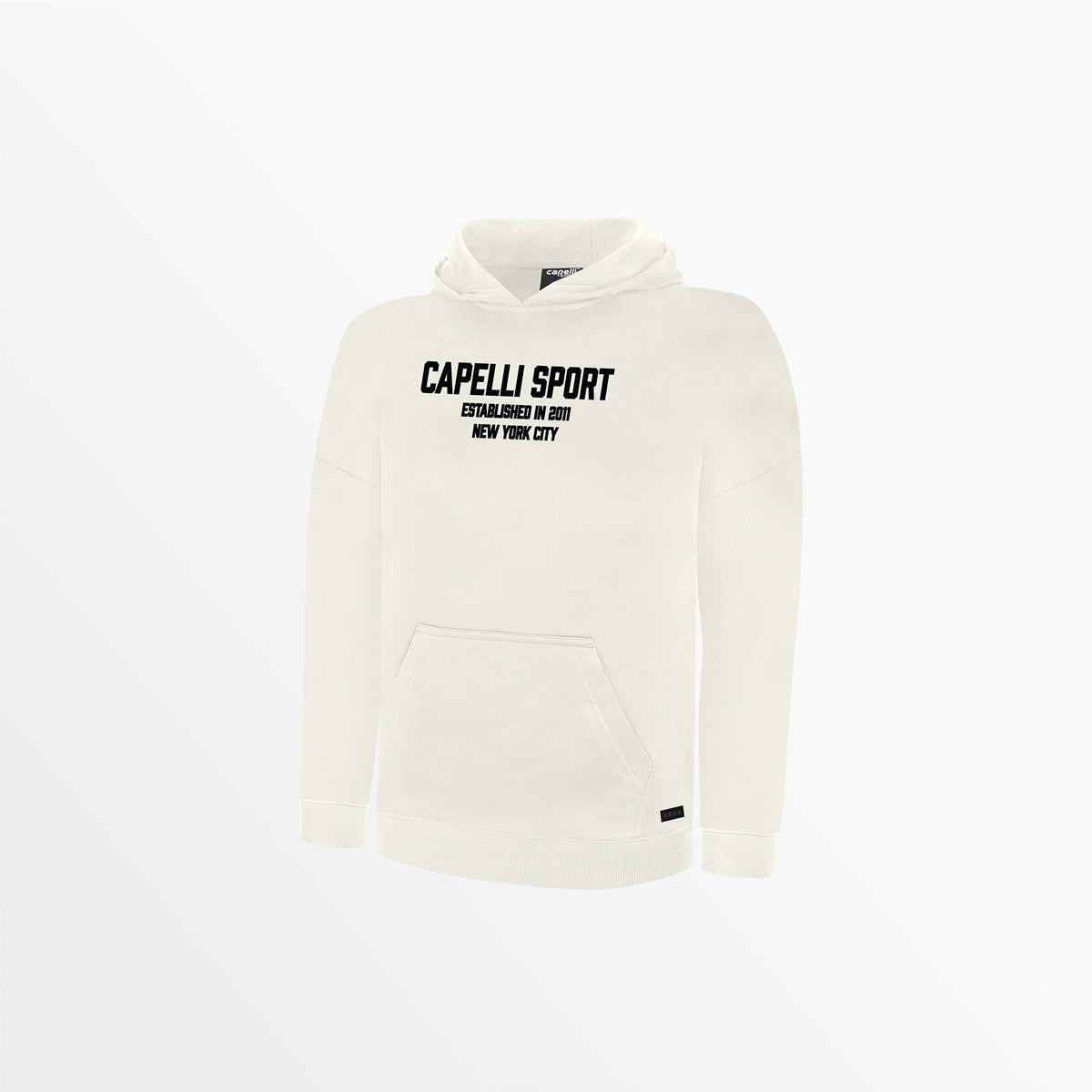 Image of YOUTH CS ESTABLISHED PULLOVER HOODIE