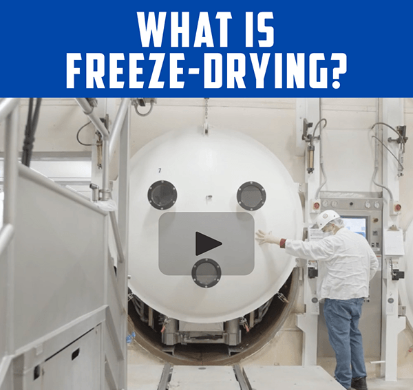 What is freeze-drying?