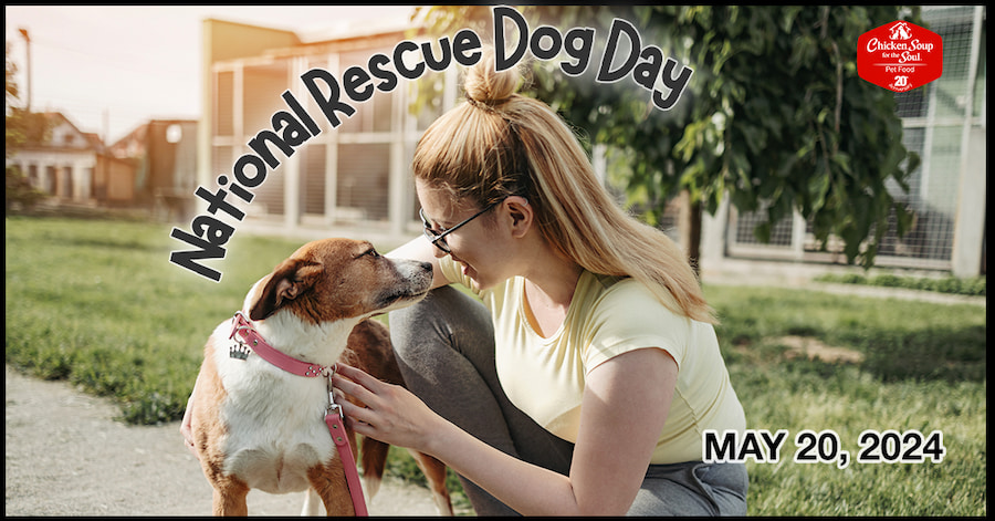 woman crouching on sidewalk next to house and smiling face-to-face at dog