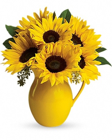 Teleflora's Sunny Day Pitcher of Sunflowers