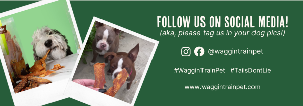 Waggin' Train links to website and social media