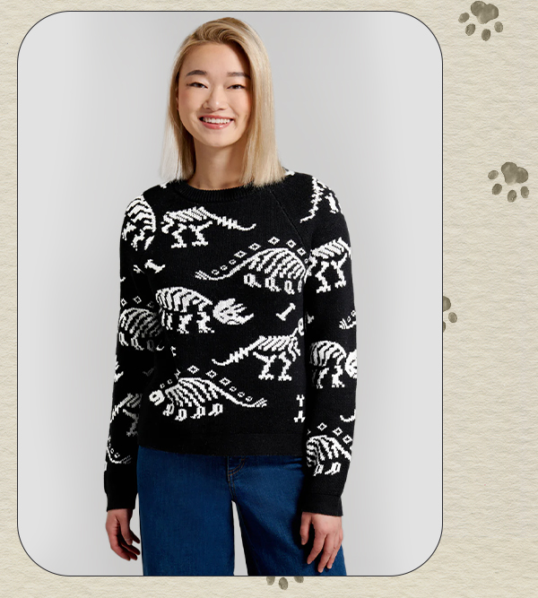 Dying For Dinos Sweater