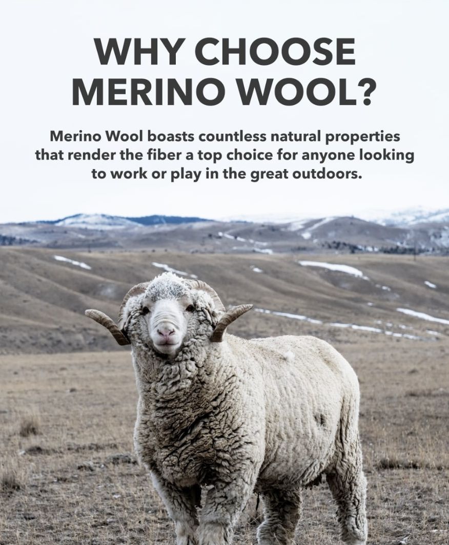 Why Choose Merino Wool?