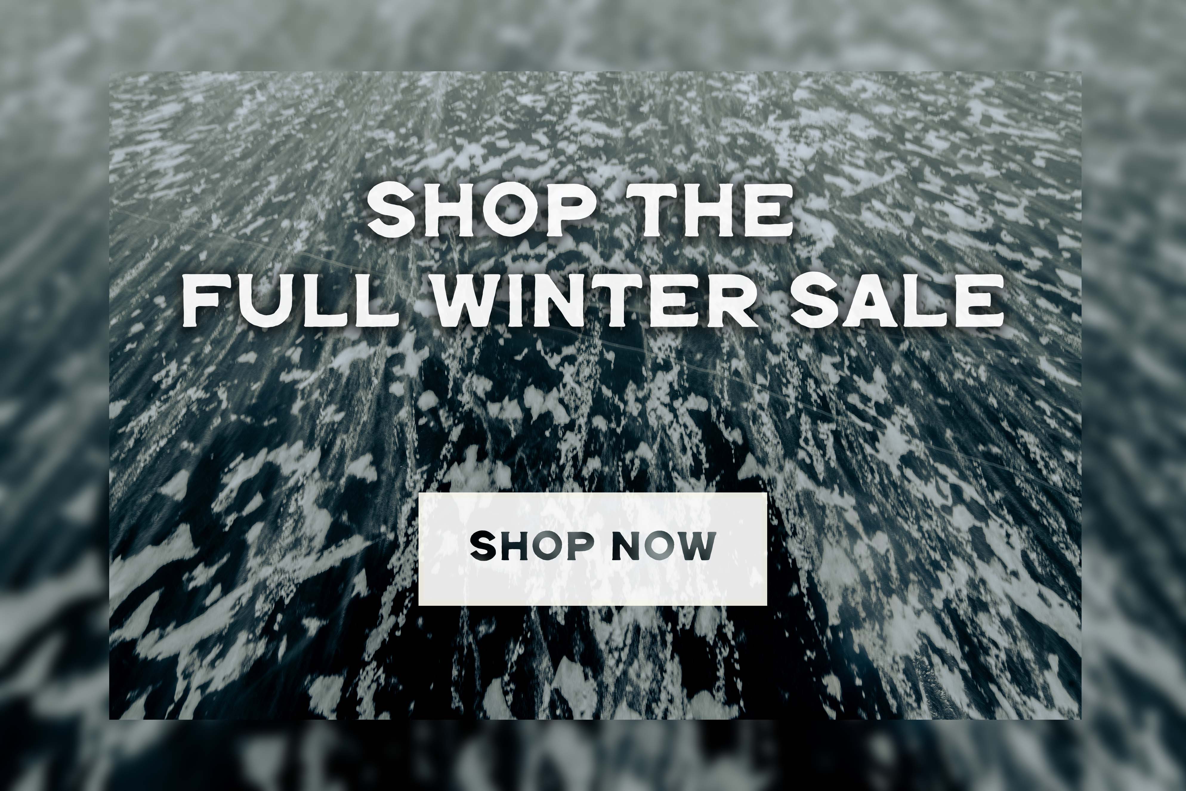 winter sale