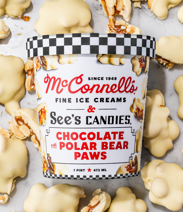 A Pint of McConnell’s Chocolate with Polar Bear Paws Ice Cream