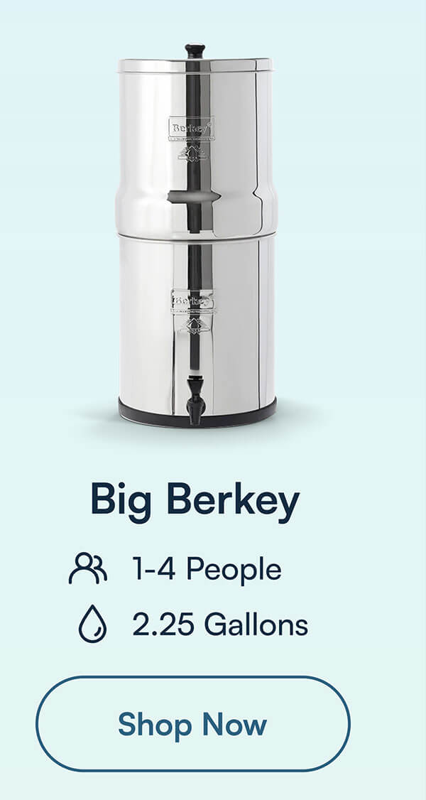 Big Berkey