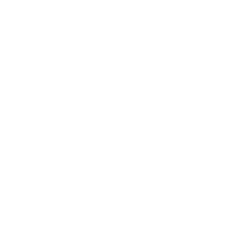 Shield Icon