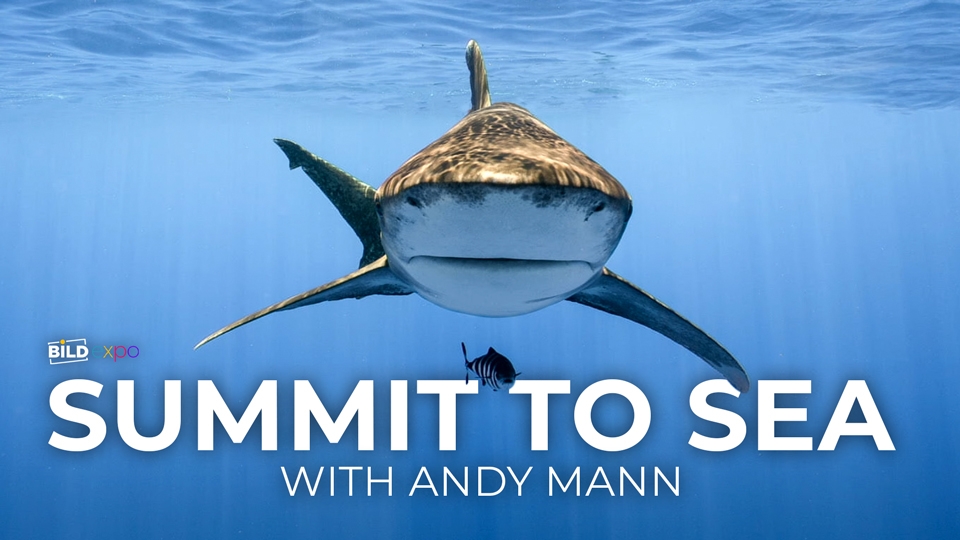 Summit to Sea: The Stories that Shape Us, with Andy Mann