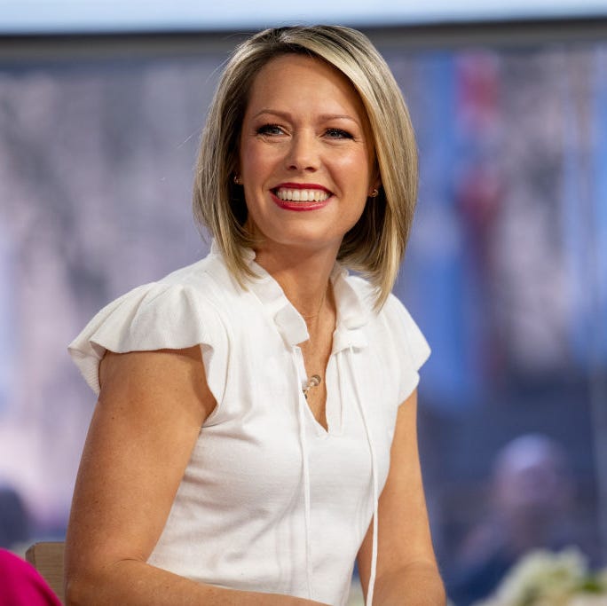 ‘Today’ Fans Rush to Defend Dylan Dreyer Over Divisive Plane Photo on Instagram