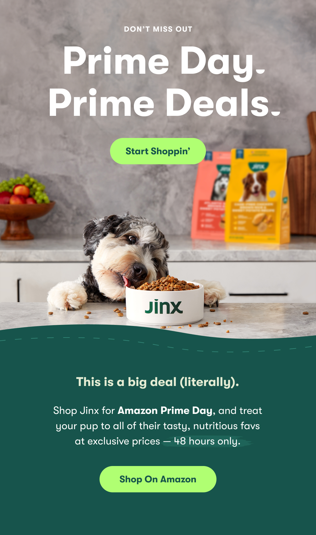 Don't Miss Out. Prime Day. Prime Deals. This is a big deal. Shop Jinx for Amazon Prime Day, and treat your pup to all of their tasty, nutritious favs at exclusive prices — 48 hours only.