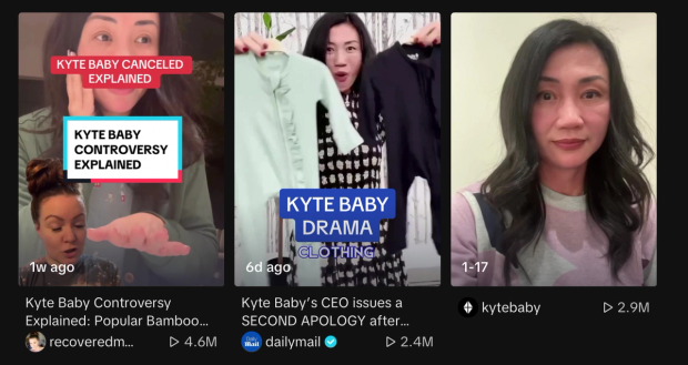 Screenshot of KyteBaby controversy