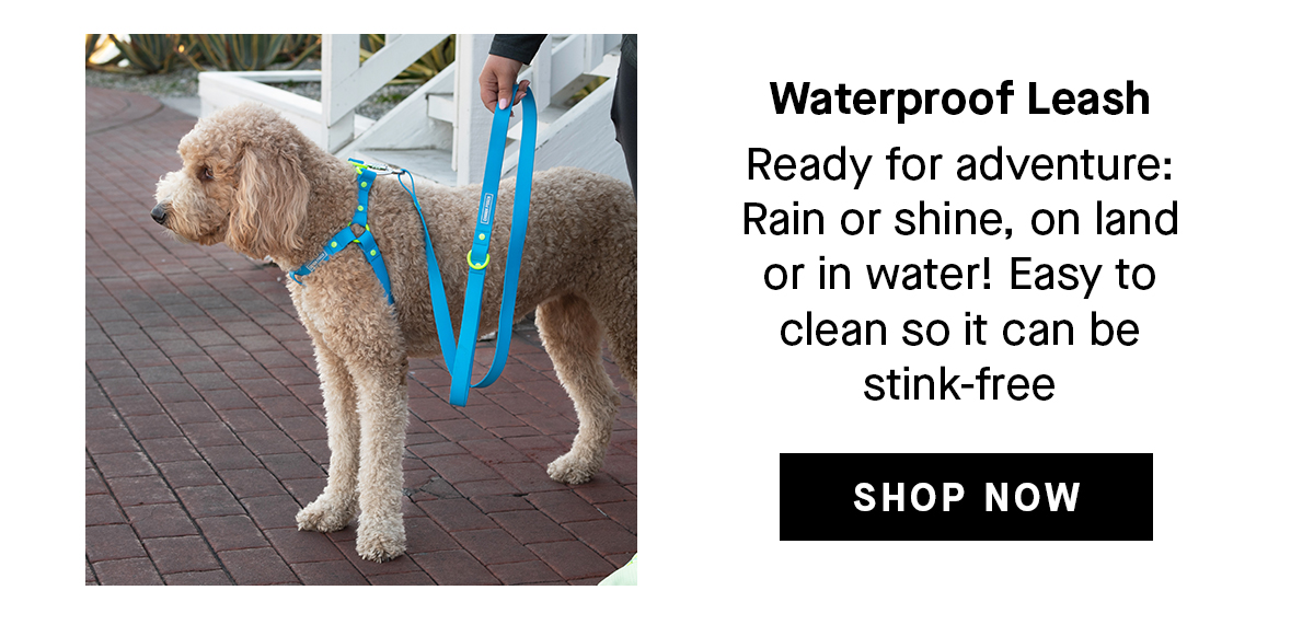 Waterproof Leash: Ready for adventure: Rain or shine, on long or in water! Easy to clean so it can be stink-free. Shop Now