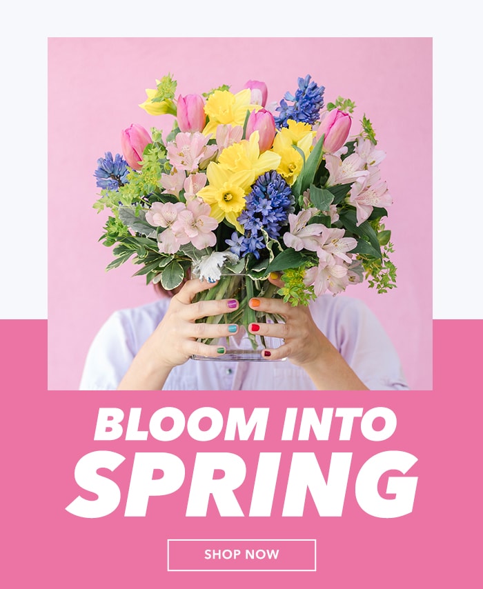 Bloom into spring