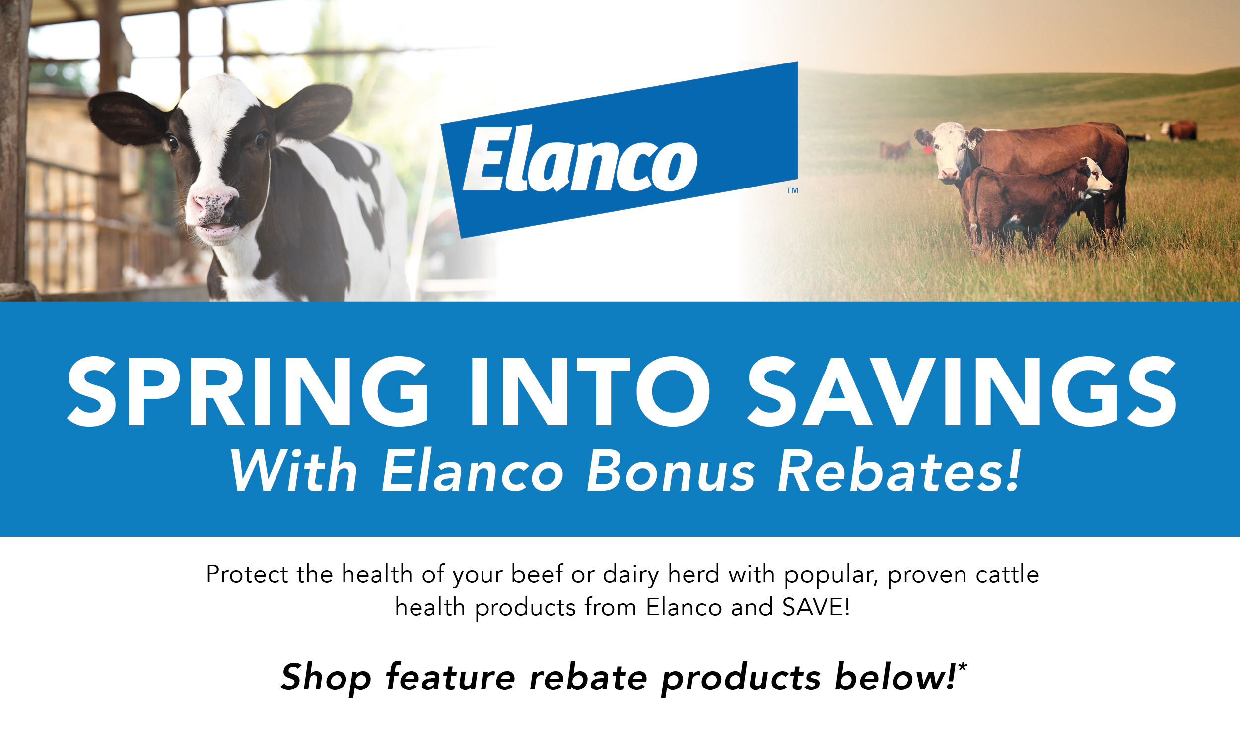 [elanco logo]   Spring Into Savings  With Elanco Bonus Rebates!   Protect the health of your beef or dairy herd with popular, proven cattle health products from Elanco and SAVE!   Shop feature rebate products below!* 