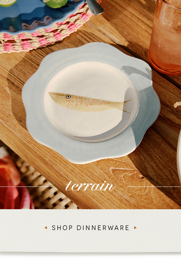 Shop dinnerware