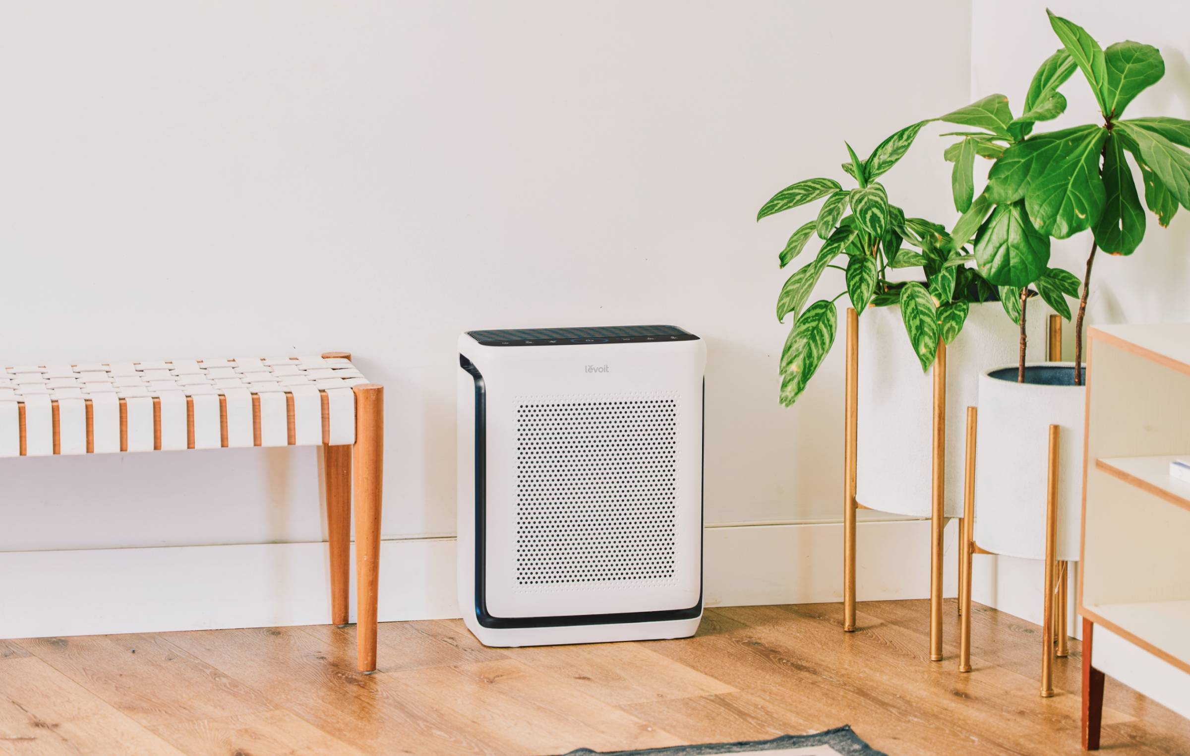 vital 200s smart air purifier