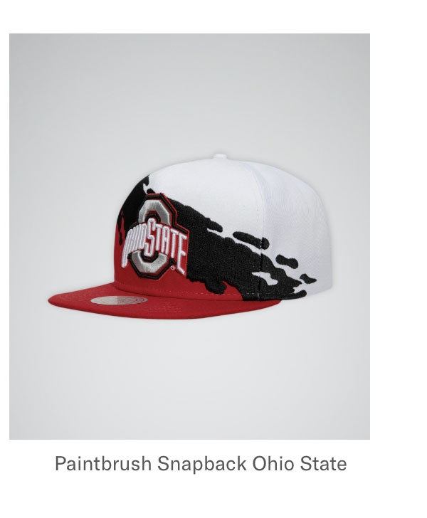 Paintbrush Snapback Ohio State