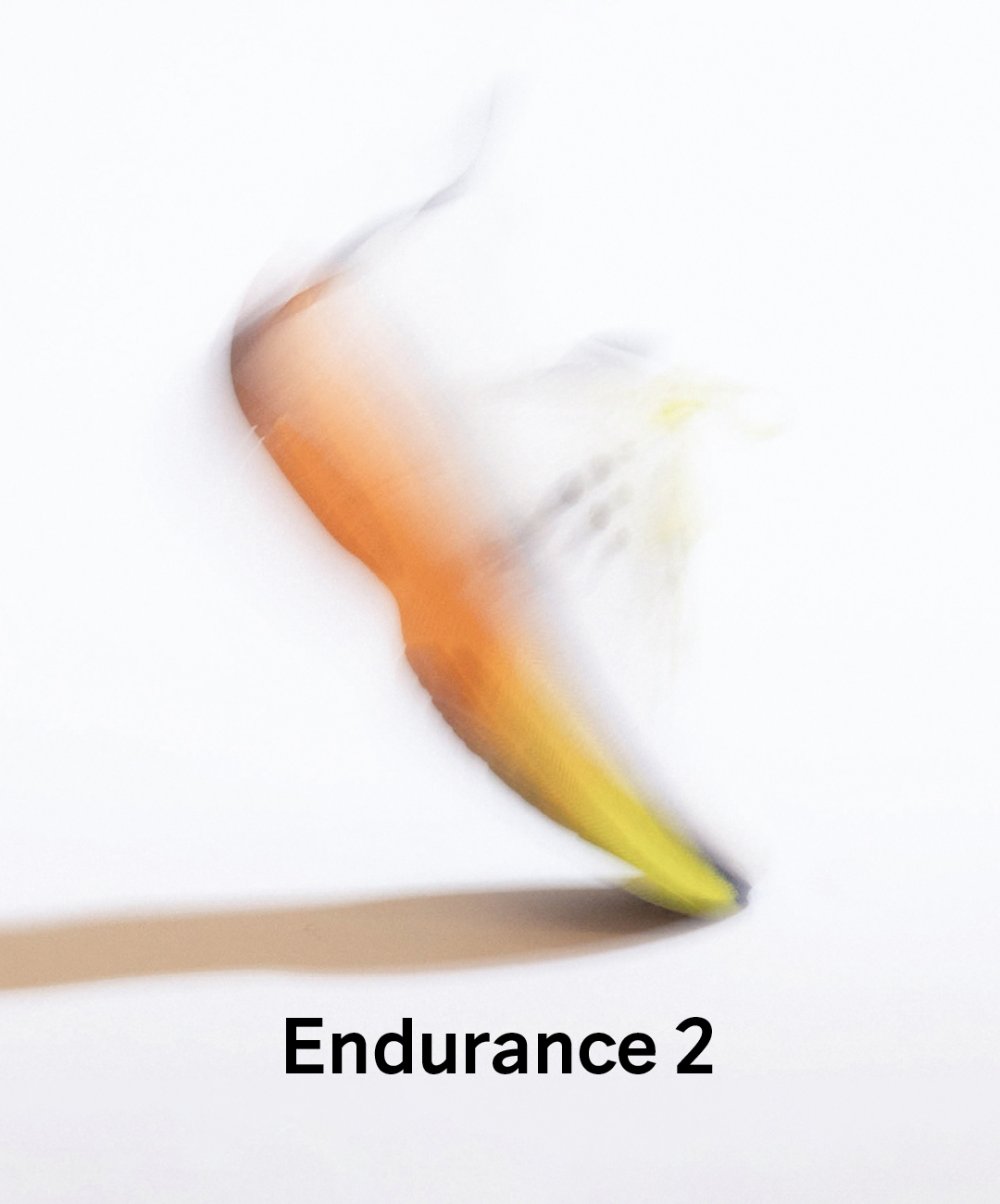 Endurance 2