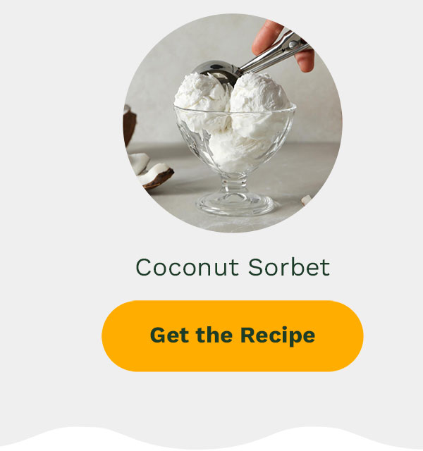 Coconut Sorbet