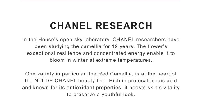 chanel research