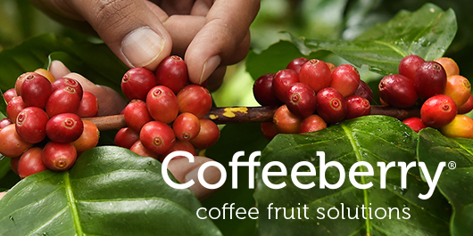 Coffeeberry®: Sustainably Super Coffee Fruit Solutions