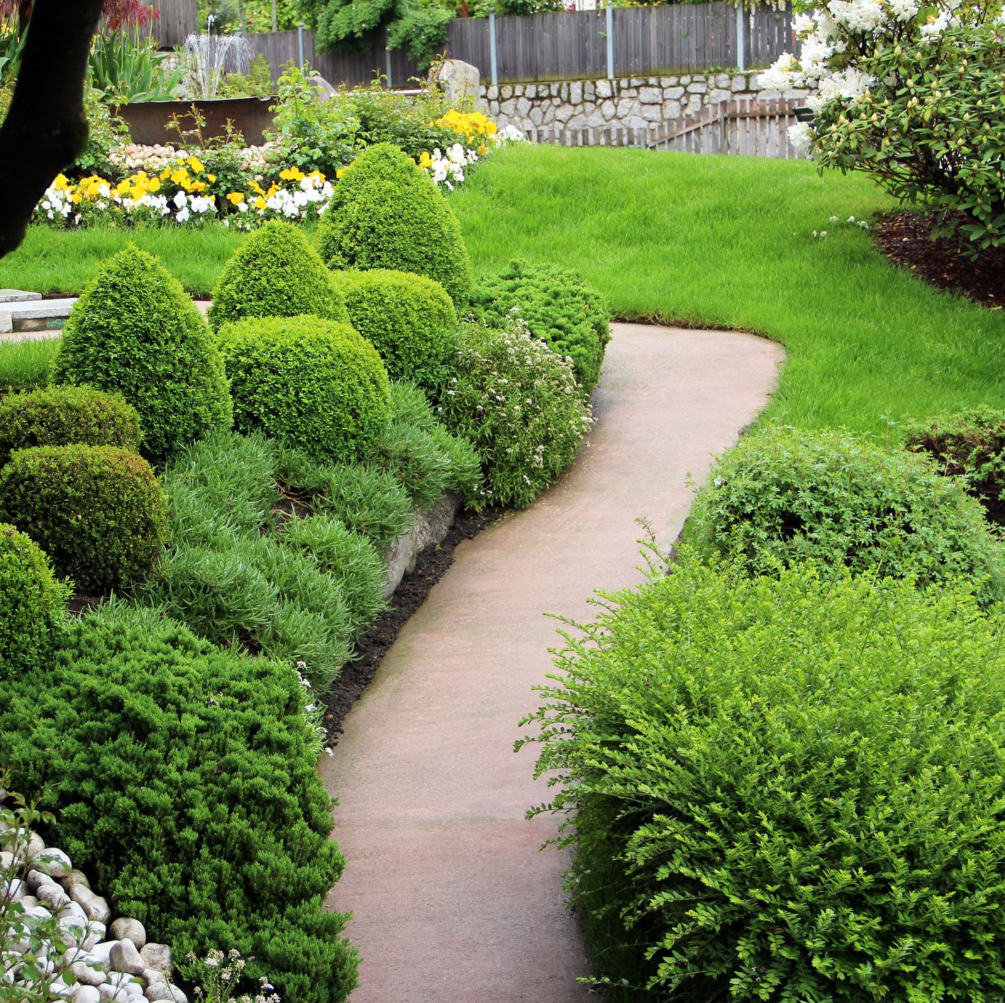 No Home Is Complete Without Evergreen Shrubs for Year-Round Beauty