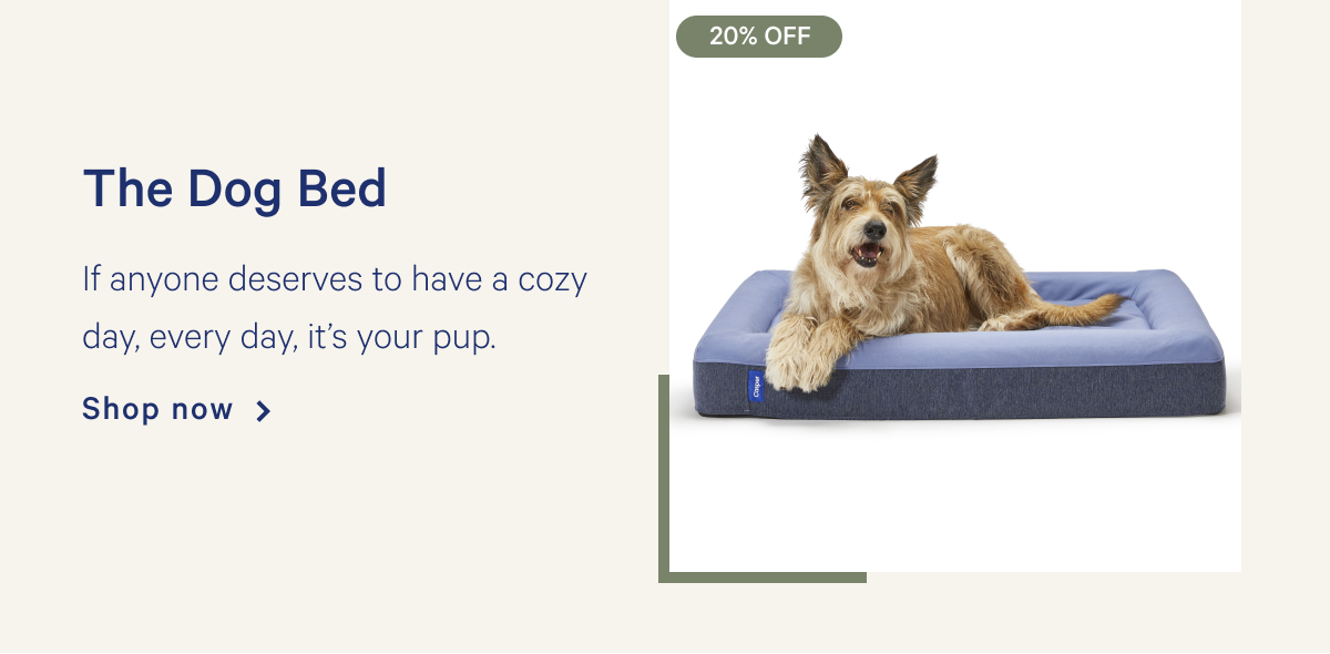 The Dog Bed >> If anyone deserves to have a cozy day, every day, itâ€™s your pup. >> Shop now >>