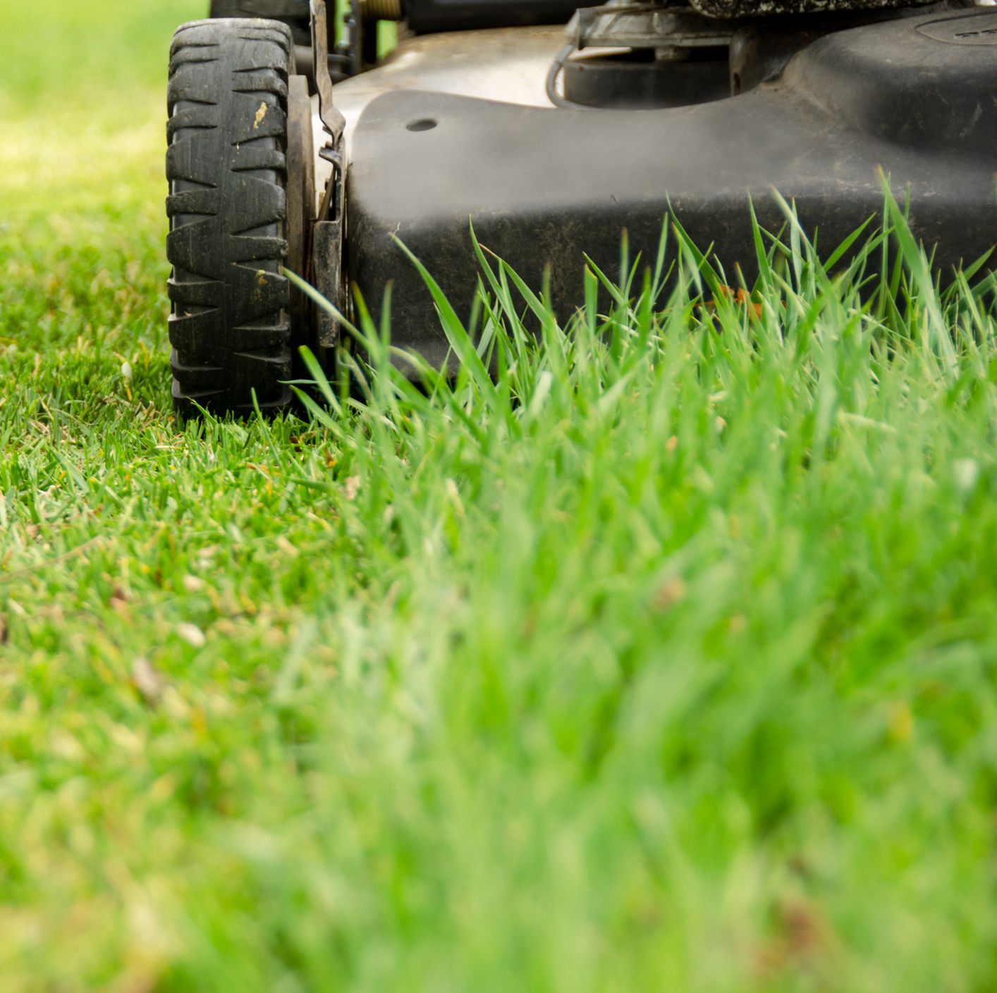 More Lawn Mower and Pressure Washer Engines Have Been Recalled