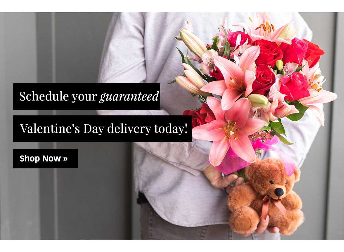 Shop Valentine's Day Gifts »