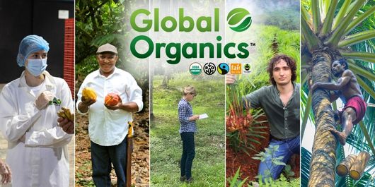 Discover the Authentic Taste of Nature with Global Organics Ingredients 