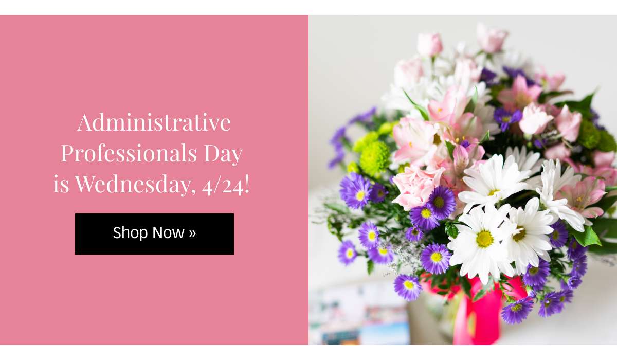 Shop All Admin Week Flowers & Gifts »