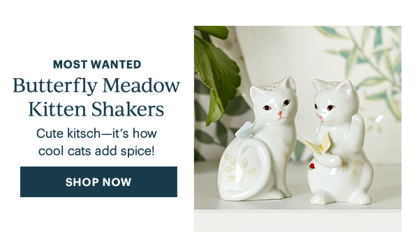 MOST WANTED  Butterfly Meadow Kitten Shakers  Cute kitsch—it's how cool cats add spice!  [SHOP NOW]