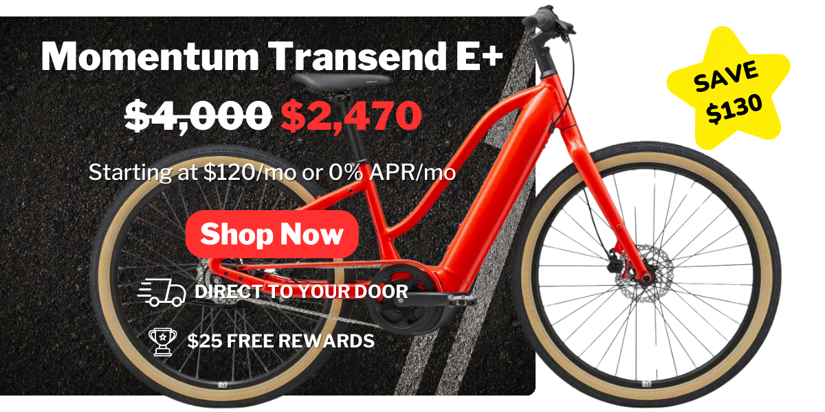 Momentum Transend