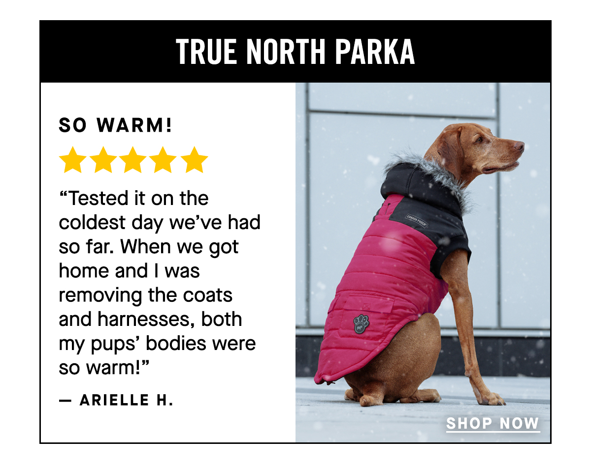 Shop True North Parka - So warm!