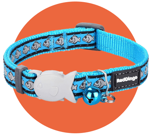 Dingo Collar