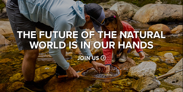 The Future of the Natural World is in Our Hands