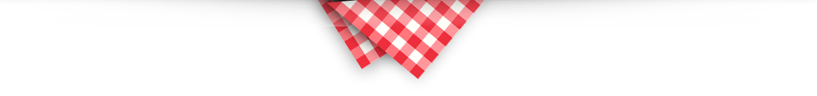 Corner of red gingham table cover