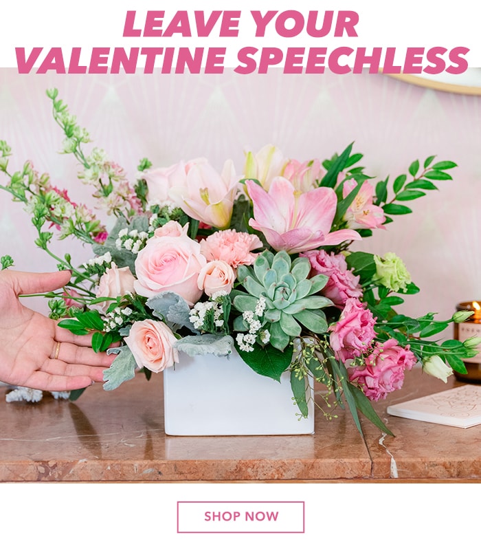 Leave your Valentine speechless