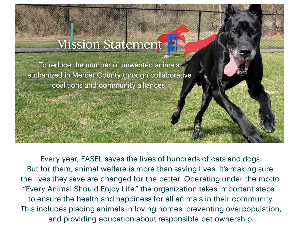 MISSION STATEMENT To reduce the number of unwanted animals euthanized in Mercer County through collaborative coalitions and community alliances.  Every year, EASEL saves the lives of hundreds of cats and dogs. But for them, animal welfare is more than saving lives. It’s making sure the lives they save are changed for the better. Operating under the motto “Every Animal Should Enjoy Life,” the organization takes important steps to ensure the health and happiness for all animals in their community. This includes placing animals in loving homes, preventing overpopulation, and providing education about responsible pet ownership.