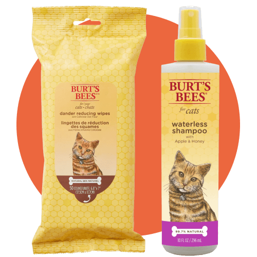 Burt's Bees Bundle