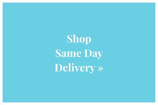 Shop Same Day »