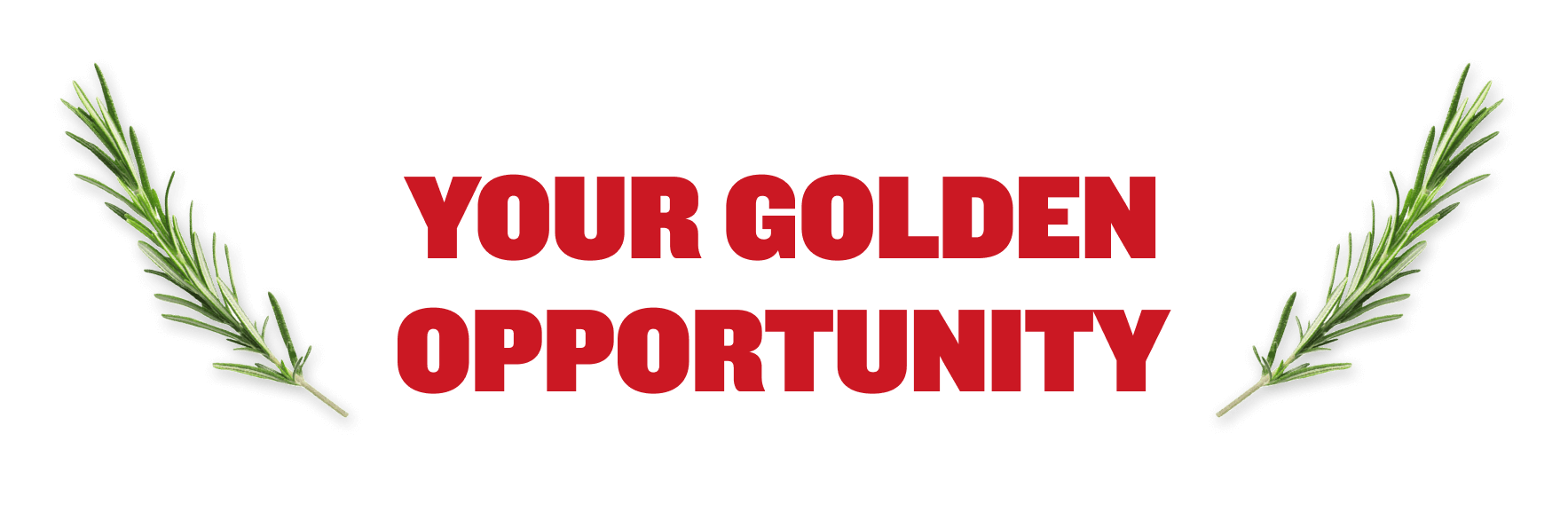 Your Golden Opportunity