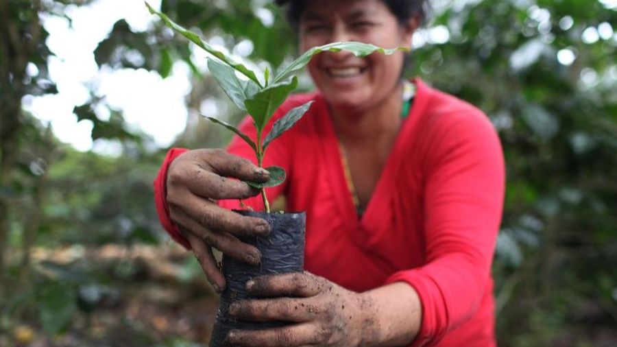 Sustainability Minded. Coffee Driven.