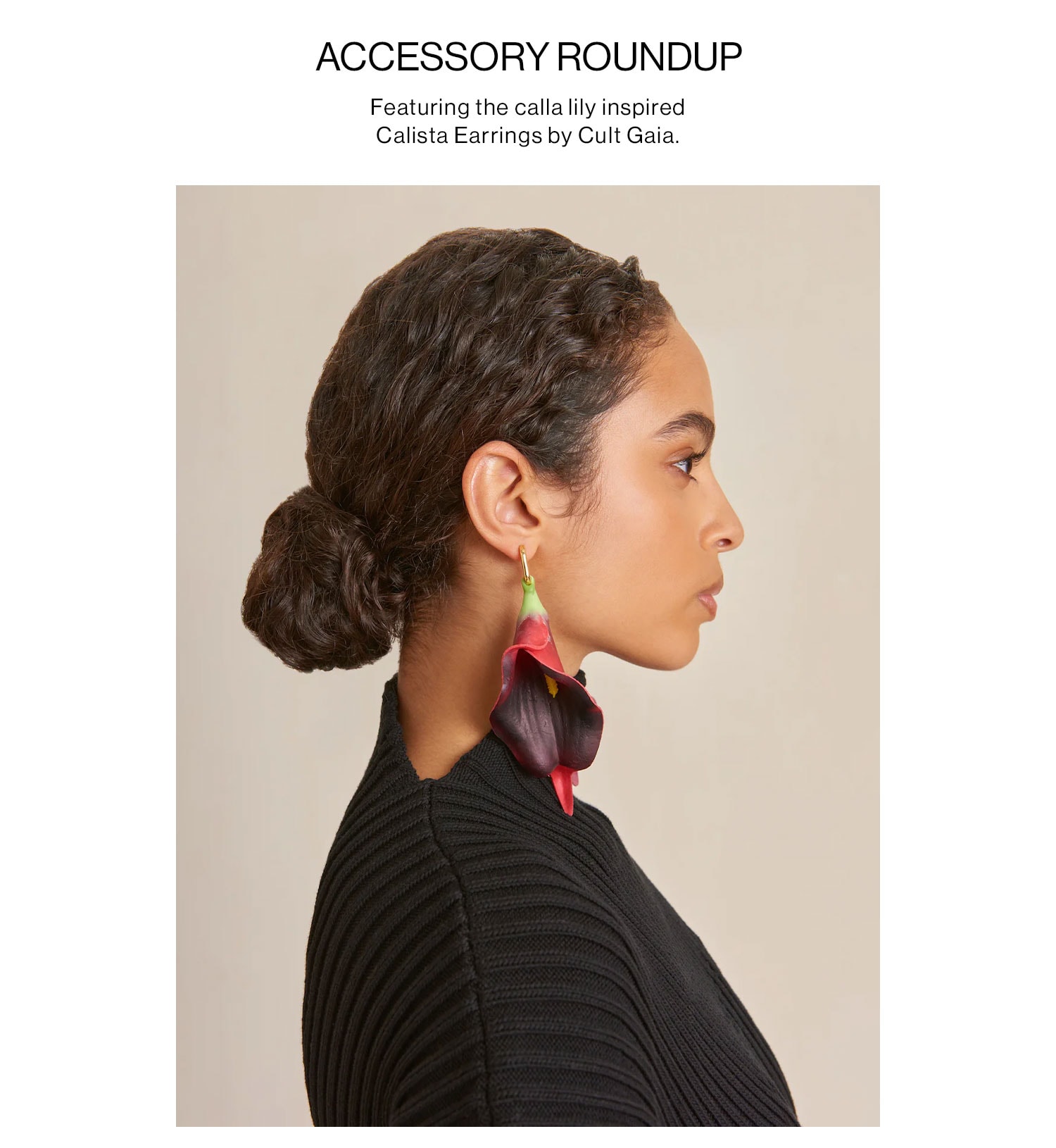 Accessory Roundup