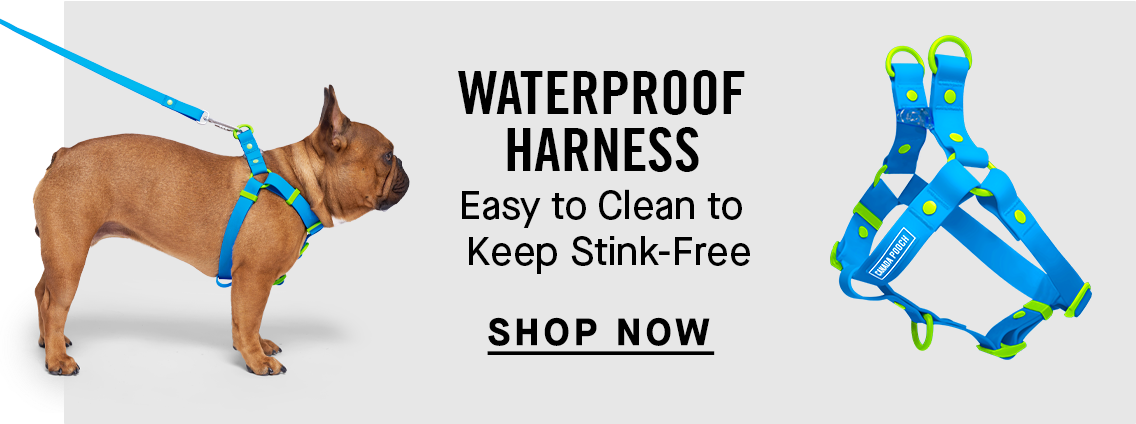 Waterproof Harness