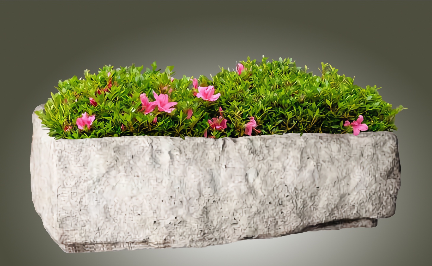 Cotswold Trough Planter