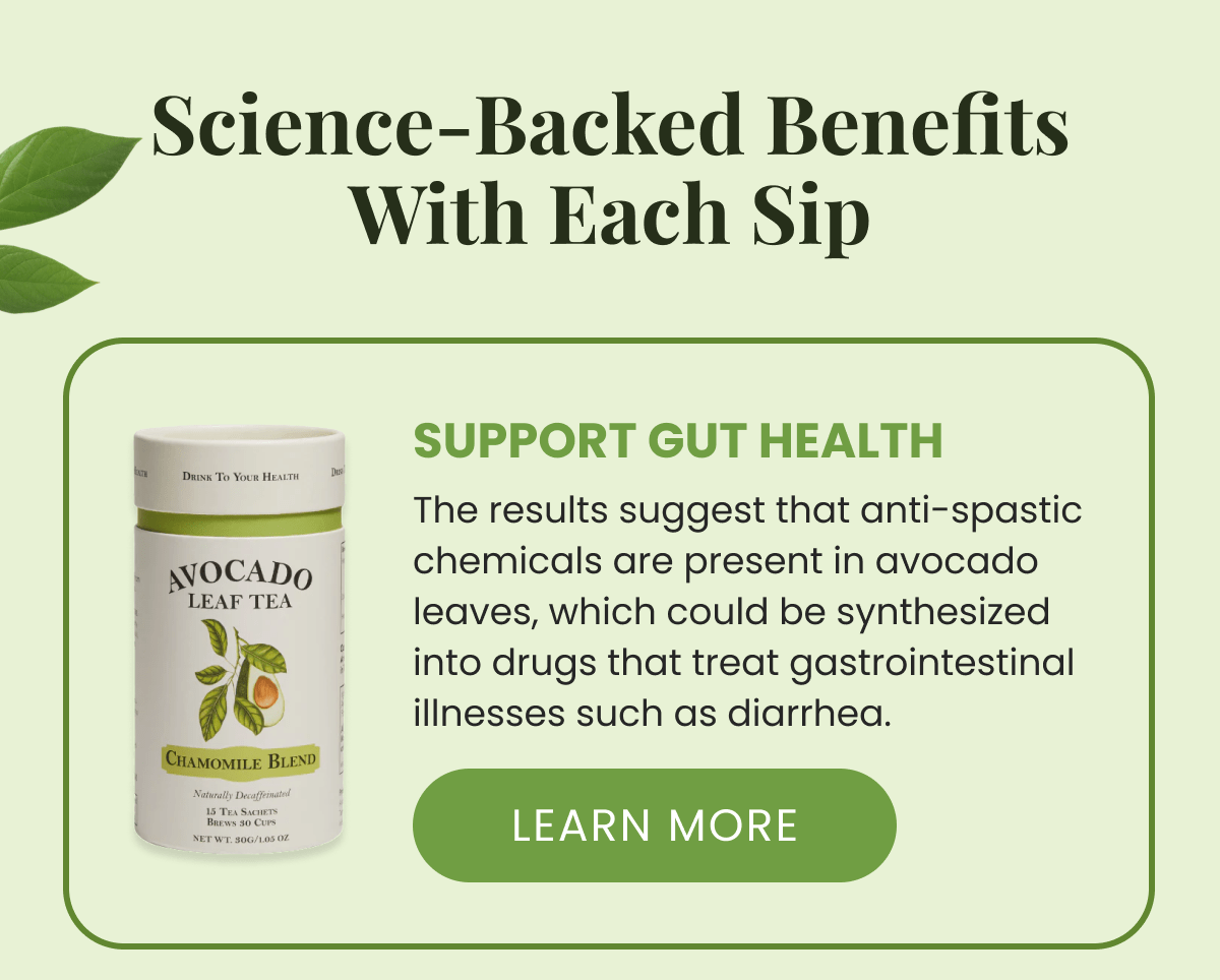 Support Gut Health